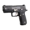 SIG SAUER P320 AXG Equinox SIG SAUER P320 AXG Equinox