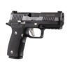SIG SAUER P320 AXG Equinox SIG SAUER P320 AXG Equinox