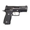 SIG SAUER P320 AXG Equinox SIG SAUER P320 AXG Equinox
