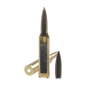 Startseite 42 .338 Ruag SwissP