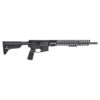 Geissele Border Patrol Rifle 16 -1 Geissele Border Patrol Rifle 16"