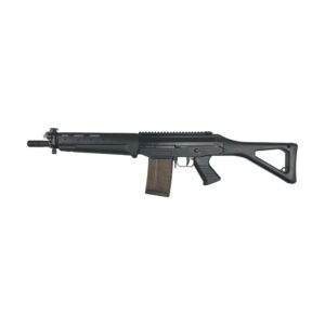 SIG 751 SAPR