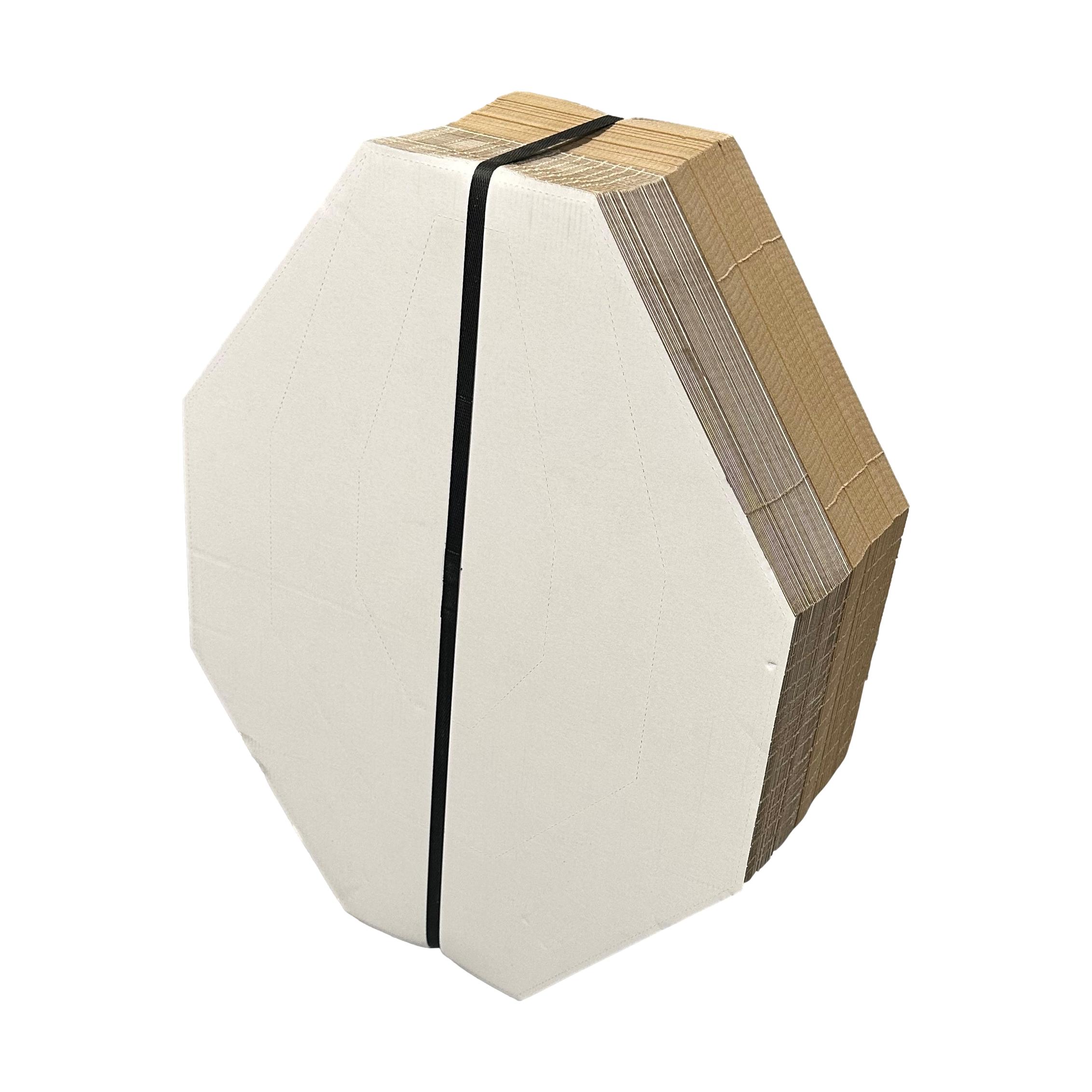 IPSC Targets IPSC<br><b>IPSC Paper Targets </b><br> 1